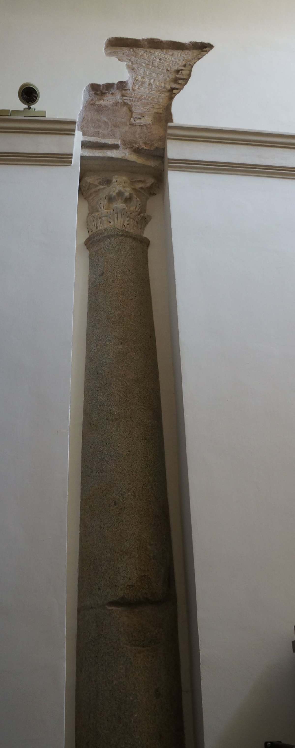 Abb. 430-MicheleeMagno_025.jpg